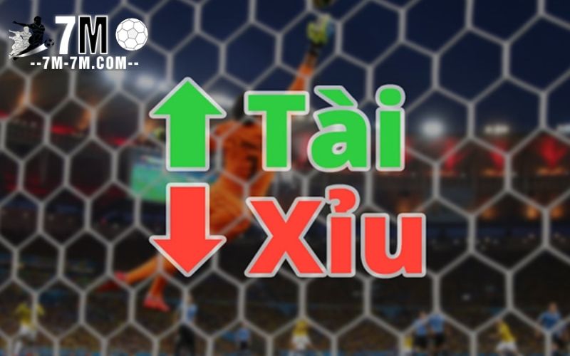 Người chơi nên trang bị kiến thức về bóng đá để tham gia cá cược Người chơi nên trang bị kiến thức về bóng đá để tham gia cá cược
